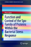Function and Control of the Spx-Family of Proteins Within the Bacterial Stress Response-1