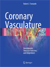 Coronary Vasculature-1