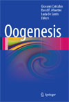 Oogenesis-1