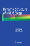 Dynamic Structure of NREM Sleep-1