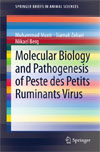 Molecular Biology and Pathogenesis of Peste des Petits Ruminants Virus-1