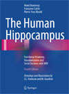 The Human Hippocampus-1