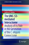 The UNC-53-mediated Interactome-1