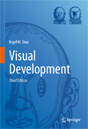 Visual Development-1