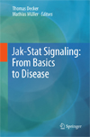 Jak-Stat Signaling