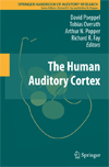 The Human Auditory Cortex-1