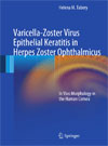 Varicella-Zoster Virus Epithelial Keratitis in Herpes Zoster Ophthalmicus-1