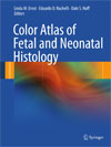 Color Atlas of Fetal and Neonatal Histology -1