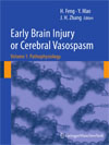 Early Brain Injury or Cerebral Vasospasm Volume 1-1