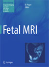 Fetal MRI-1