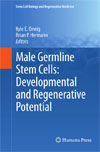 Male Germline Stem Cells