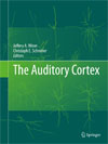 The Auditory Cortex -1