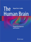 The Human Brain-1