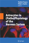 Astrocytes in (Patho)Physiology of the Nervous System-1