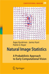 Natural Image Statistics-1