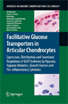 Facilitative Glucose Transporters in Articular Chondrocytes-1