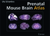 Prenatal Mouse Brain Atlas-1
