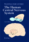 The Human Central Nervous System-1