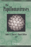 The Papillomaviruses-1