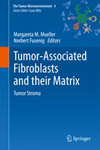 Tumor-Associated Fibroblasts and their Matrix-1