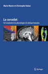 Le cervelet-1