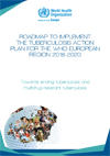 Roadmap to implement the tuberculosis action plan for the WHO European Region