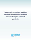 Programmatic innovations to address challenges-1